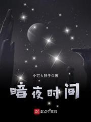 暗夜怎么样