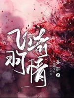 飞羽飞游戏
