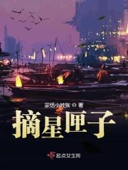 摘星子什么水平