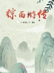 综穿之西游记