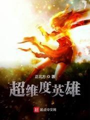 超维度文明