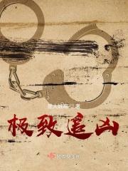 极速追凶在线观看