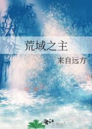 荒域之主晋江
