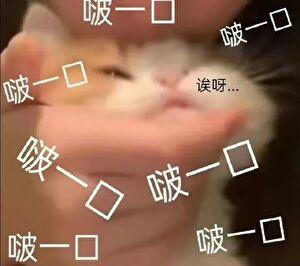 图南鲸