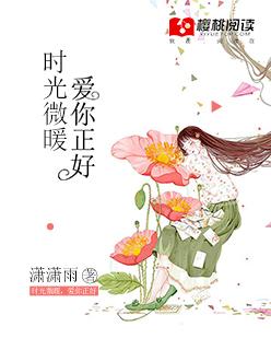 时光微微暖林小乔全文免费阅读