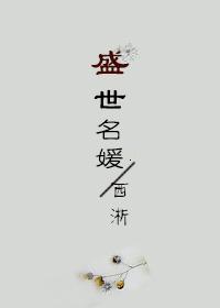将军的现代娱乐生活