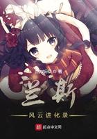 兰斯风云进化录无删