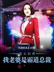 宠妻奶爸我的